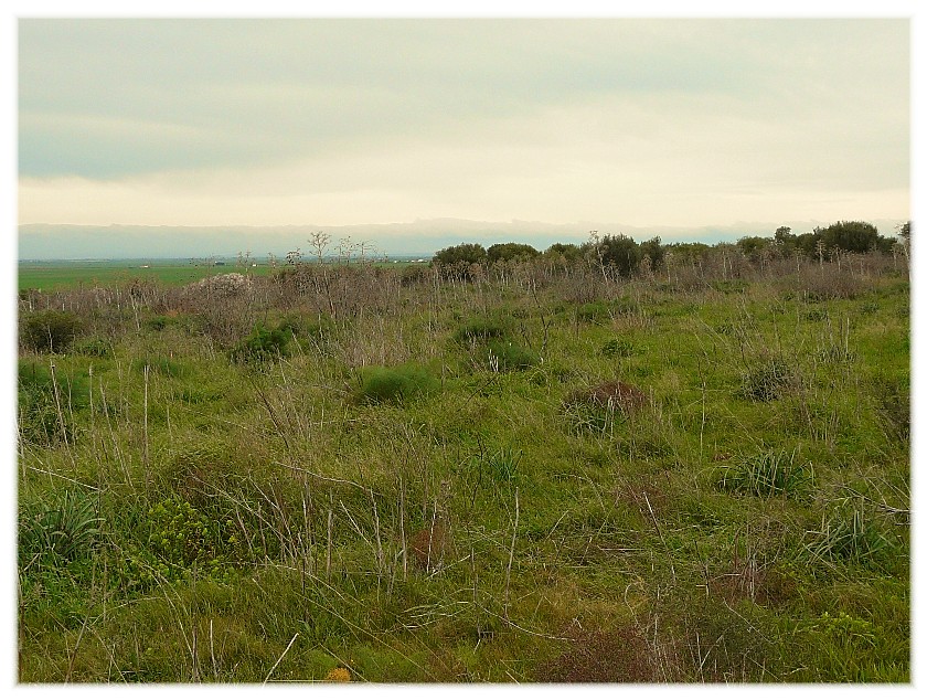 Le Steppe del Gargano